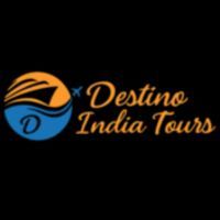 Hi I'm Destino India Tours